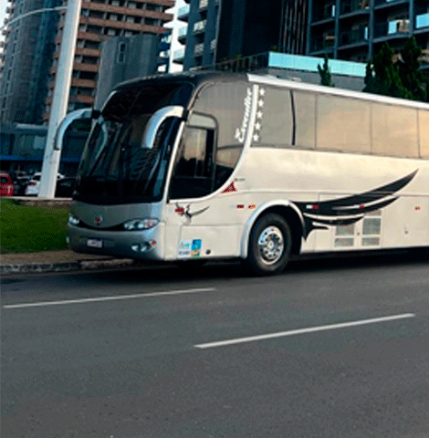 lana-tur-background-01-onibus-02